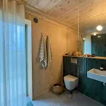 Architectural Longhouse Near Denmark's *