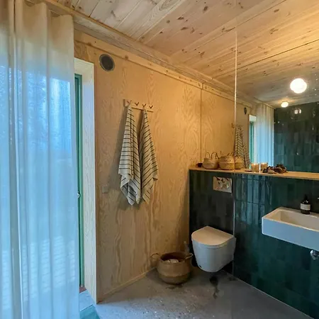 Architectural Longhouse Near Denmark's *