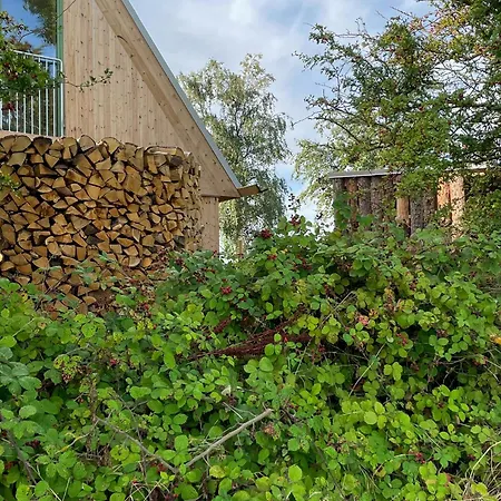 Architectural Longhouse Near Denmark's *