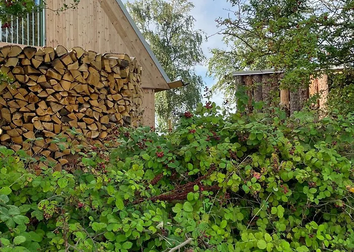 Architectural Longhouse Near Denmark's *